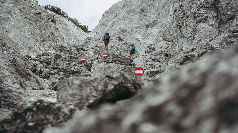 Mountain Hike Stage 06 Luchs Trail Johnsbach – Ennstalerhütte (difficult) - Touren-Impression #2.6 | © TV Gesäuse