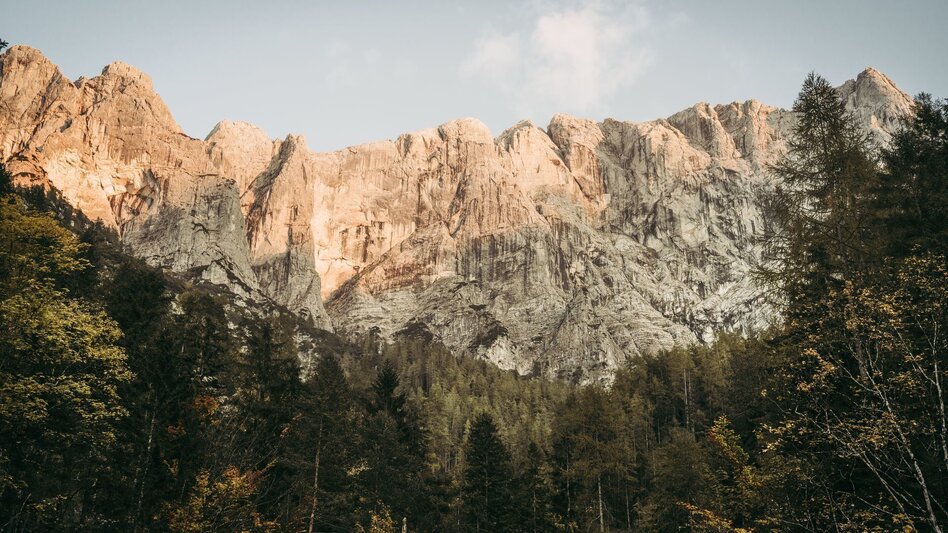 Mountain Hike Stage 06 Luchs Trail Johnsbach – Ennstalerhütte (difficult) - Touren-Impression #2.7 | © TV Gesäuse