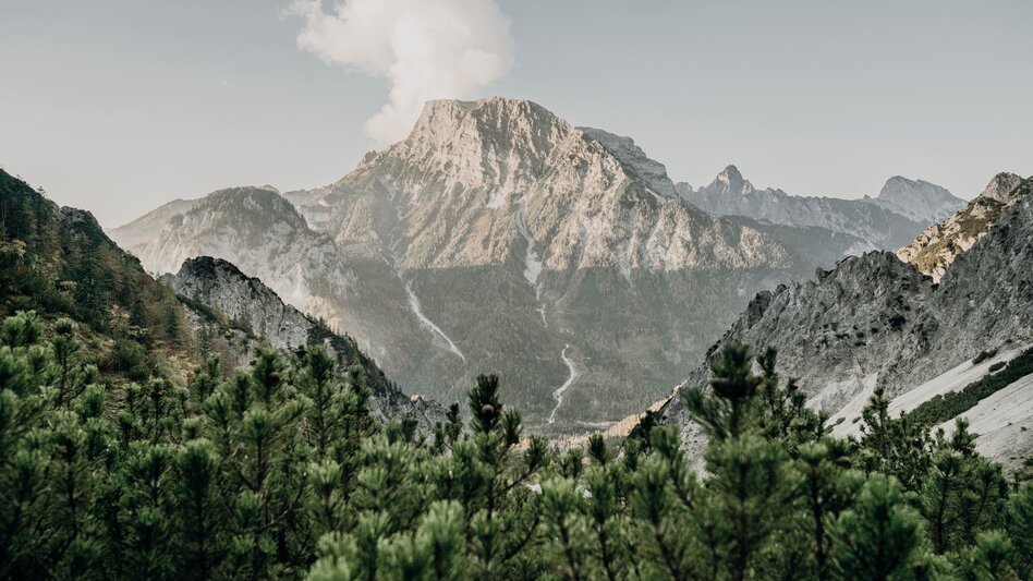 Mountain Hike Stage 06 Luchs Trail Johnsbach – Ennstalerhütte (difficult) - Touren-Impression #2.9 | © TV Gesäuse