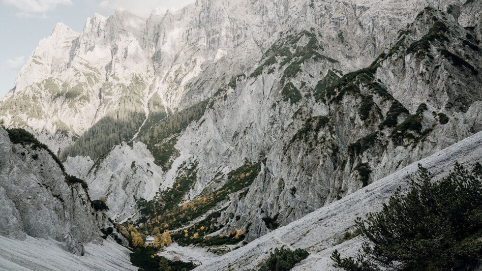 Mountain Hike Stage 06 Luchs Trail Johnsbach – Ennstalerhütte (difficult) - Touren-Impression #2.5 | © TV Gesäuse