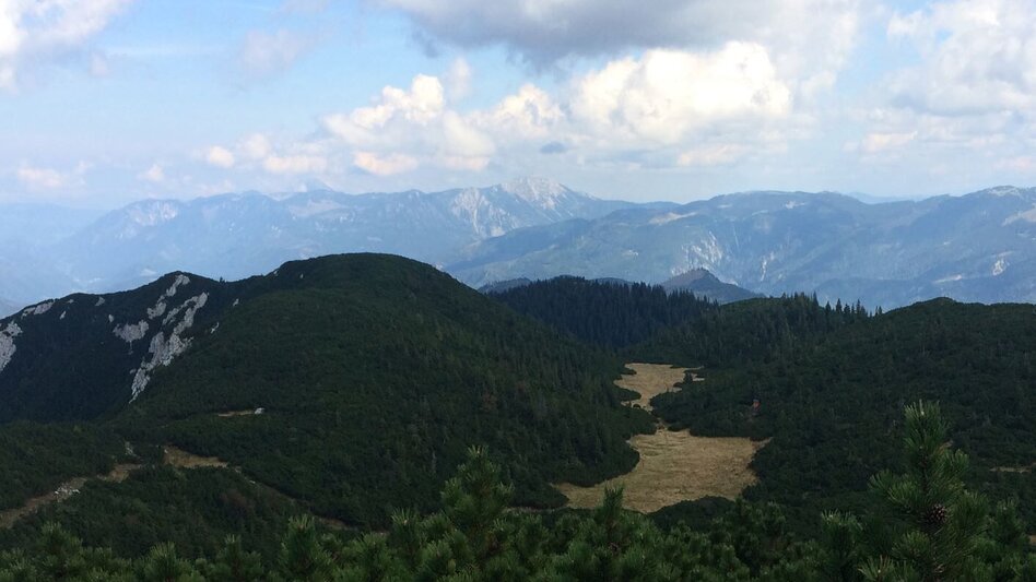 Hiking route Lynx Trail - Stage  09 Palfau-Lassing, main route - Touren-Impression #2.2 | © TV Gesäuse