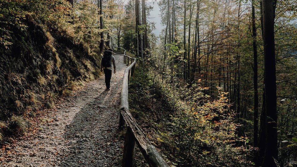 Hiking route Lynx Trail - Stage  09 Palfau-Lassing, main route - Touren-Impression #2.4 | © TV Gesäuse