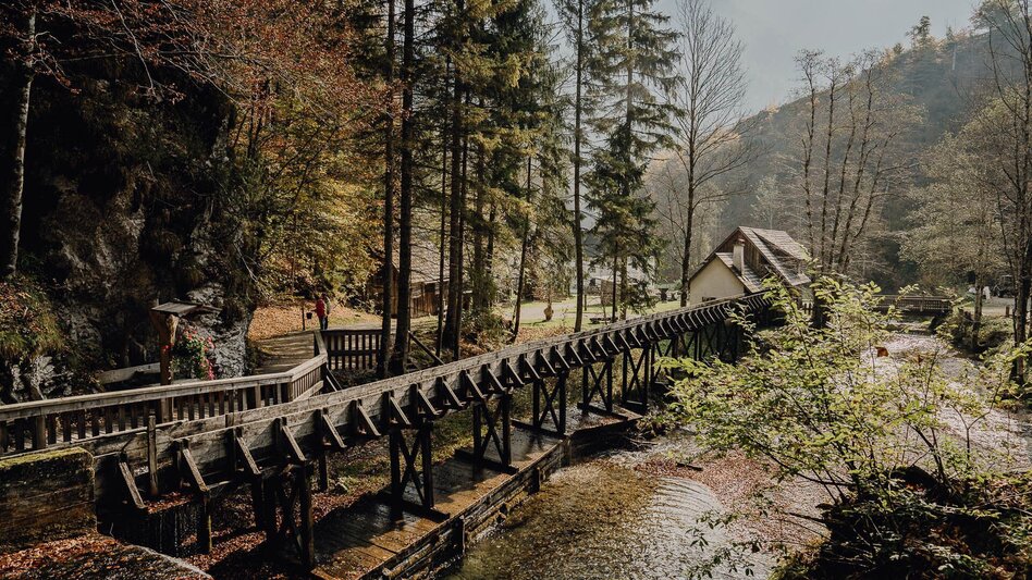 Hiking route Lynx Trail - Stage  09 Palfau-Lassing, main route - Touren-Impression #2.6 | © TV Gesäuse