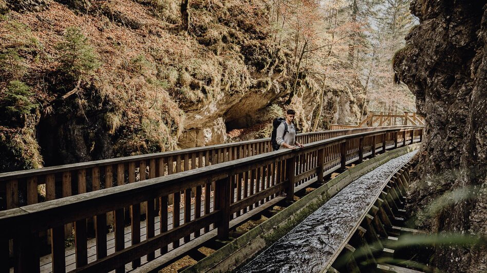 Hiking route Lynx Trail - Stage  09 Palfau-Lassing, main route - Touren-Impression #2.7 | © TV Gesäuse