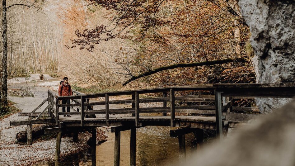 Hiking route Lynx Trail - Stage  09 Palfau-Lassing, main route - Touren-Impression #2.8 | © TV Gesäuse