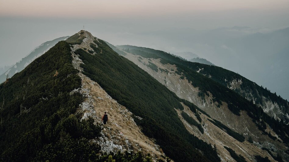 Hiking route Lynx Trail - Stage  09 Palfau-Lassing, main route - Touren-Impression #2.13 | © TV Gesäuse