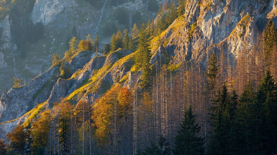 Hiking route Lynx Trail - Stage 10 Lassing-Hochreit - Touren-Impression #2.1 | © TV Gesäuse