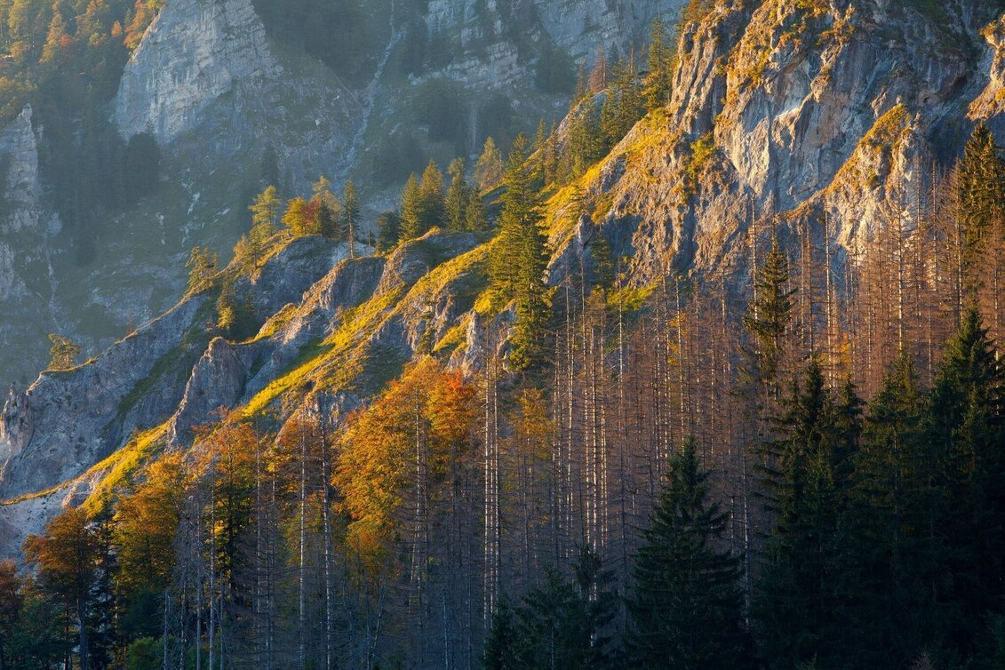Hiking route Lynx Trail - Stage 10 Lassing-Hochreit - Touren-Impression #1 | © TV Gesäuse