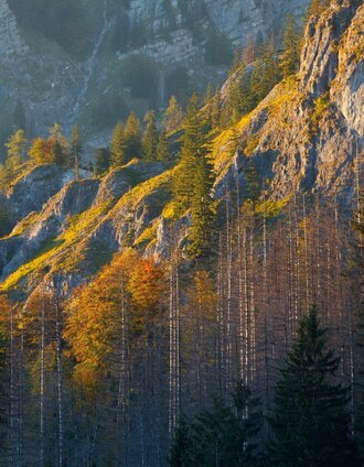 Etappe_10_(c)Wildnisgebiet Duerrenstein Oesterreich _ H Glader | Tourismusverband Gesäuse | © TV Gesäuse