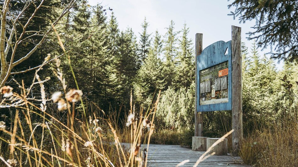 Hiking route Lynx Trail - Stage 10 Lassing-Hochreit - Touren-Impression #2.5 | © TV Gesäuse