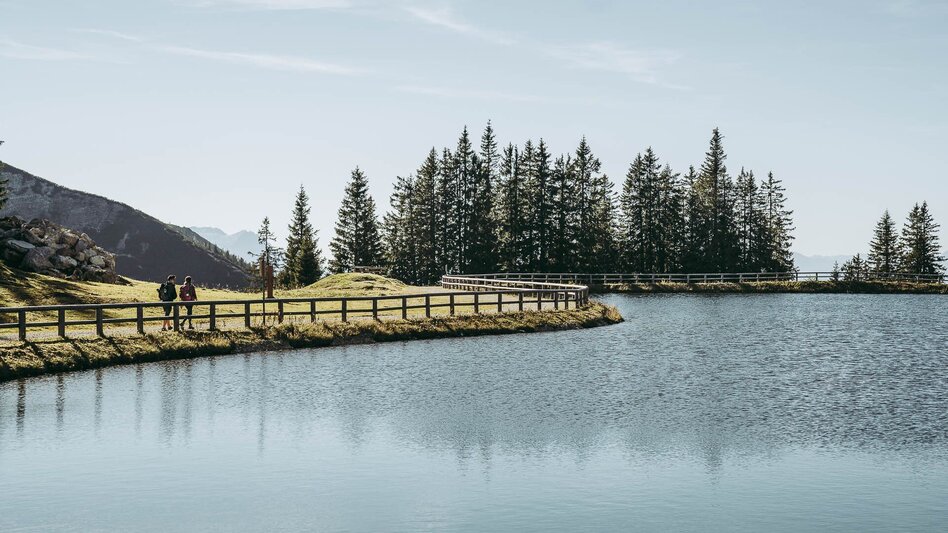 Hiking route Lynx Trail - Stage 10 Lassing-Hochreit - Touren-Impression #2.6 | © TV Gesäuse