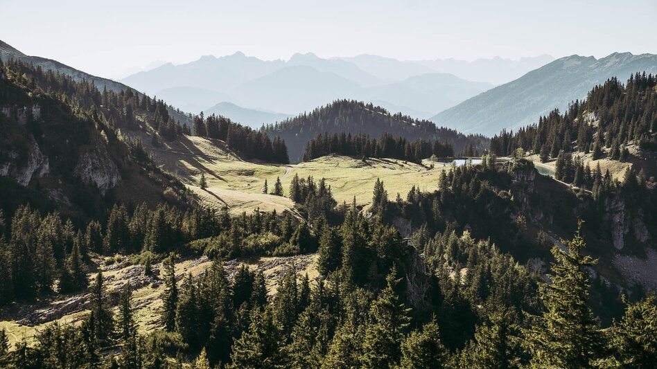 Hiking route Lynx Trail - Stage 10 Lassing-Hochreit - Touren-Impression #2.7 | © TV Gesäuse