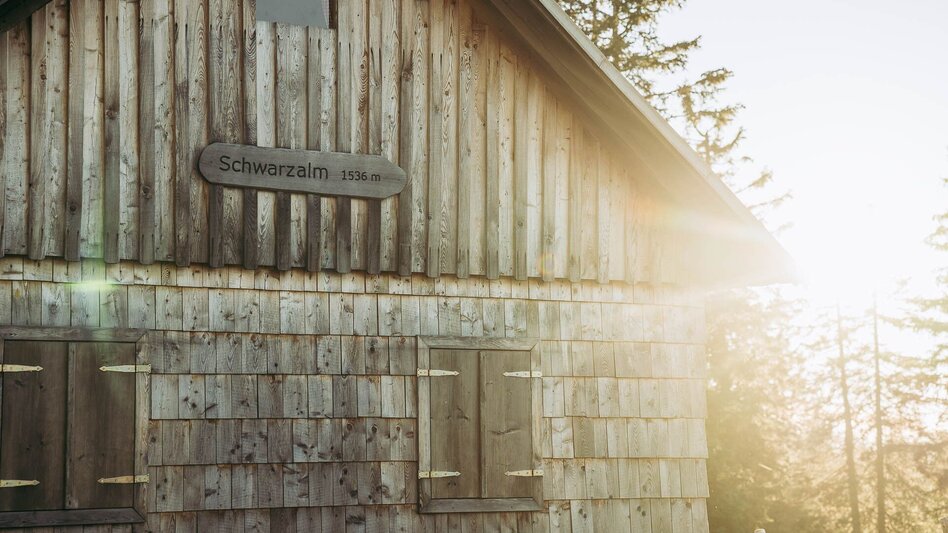 Hiking route Lynx Trail - Stage 10 Lassing-Hochreit - Touren-Impression #2.12 | © TV Gesäuse