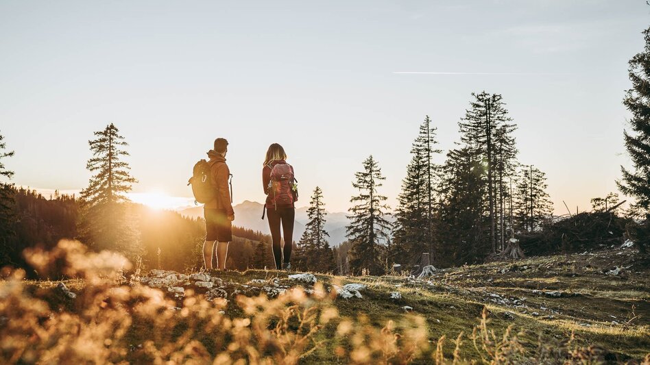 Hiking route Lynx Trail - Stage 10 Lassing-Hochreit - Touren-Impression #2.13 | © TV Gesäuse