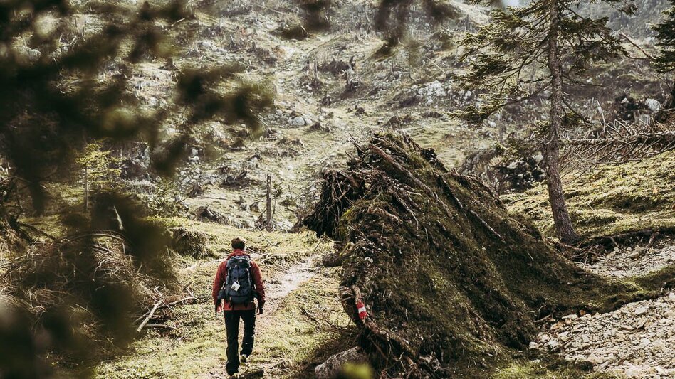 Hiking route Lynx Trail - Stage   11 Göstling (Hochreit) - Lunz am See (Seehof), with shuttle - Touren-Impression #2.3 | © TV Gesäuse