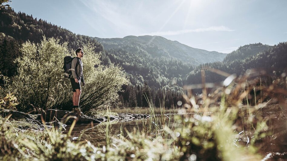 Hiking route Lynx Trail - Stage   11 Göstling (Hochreit) - Lunz am See (Seehof), with shuttle - Touren-Impression #2.9 | © TV Gesäuse
