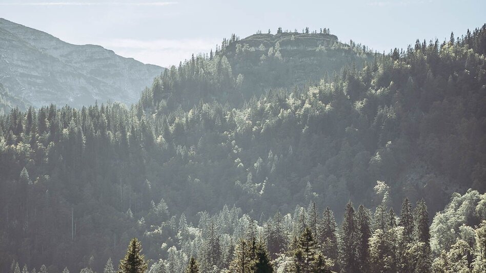 Hiking route Lynx Trail - Stage   11 Göstling (Hochreit) - Lunz am See (Seehof), with shuttle - Touren-Impression #2.10 | © TV Gesäuse