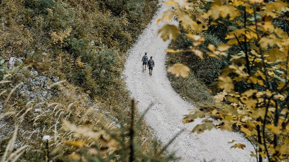 Hiking route Lynx Trail - Stage   11 Göstling (Hochreit) - Lunz am See (Seehof), with shuttle - Touren-Impression #2.12 | © TV Gesäuse
