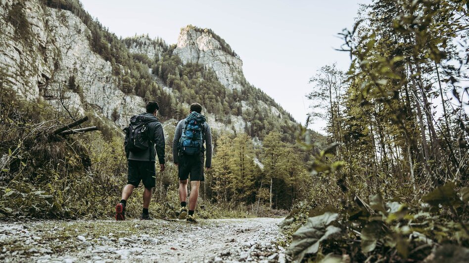 Hiking route Lynx Trail - Stage   11 Göstling (Hochreit) - Lunz am See (Seehof), with shuttle - Touren-Impression #2.13 | © TV Gesäuse