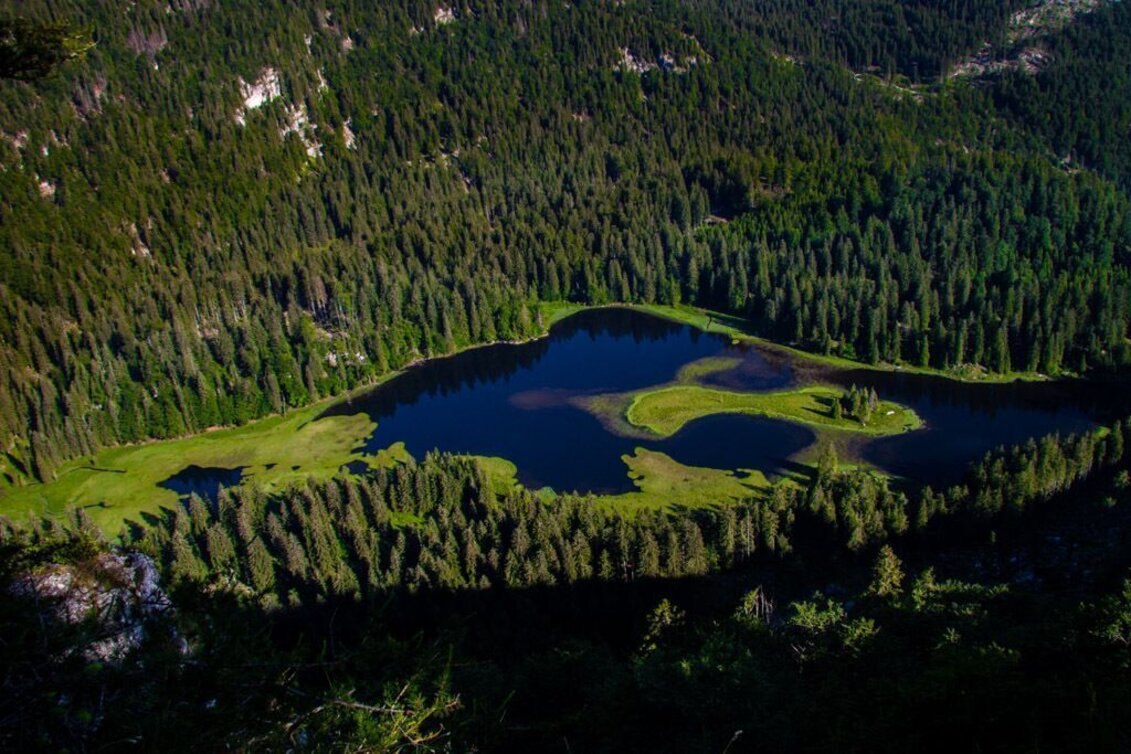 Hiking route Lynx Trail - Stage  11 Göstling (Hochreit) - Lunz am See (Seehof), without shuttle - Touren-Impression #1 | © TV Gesäuse