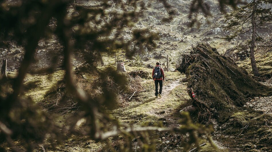 Hiking route Lynx Trail - Stage  11 Göstling (Hochreit) - Lunz am See (Seehof), without shuttle - Touren-Impression #2.2 | © TV Gesäuse