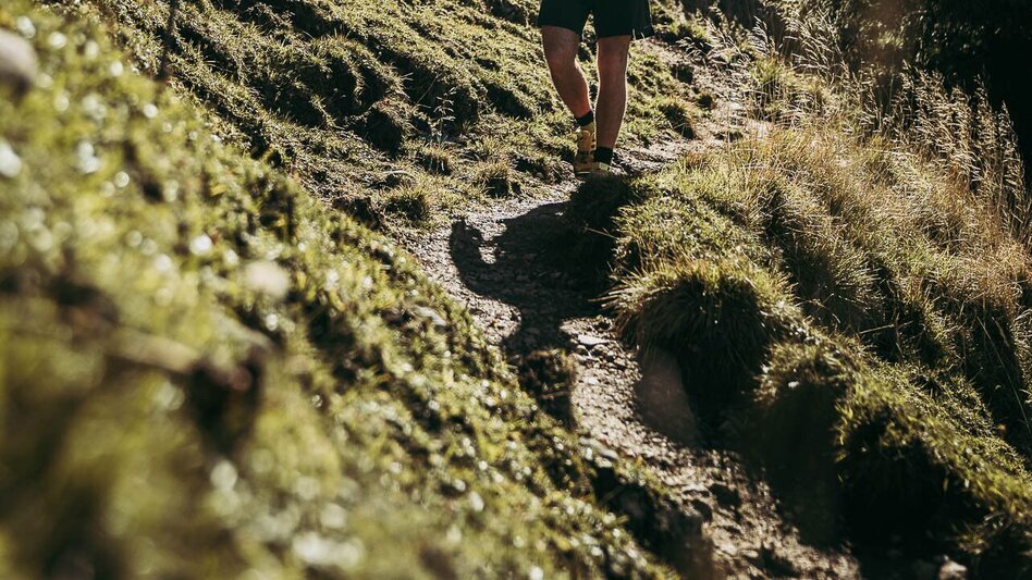 Hiking route Lynx Trail - Stage  11 Göstling (Hochreit) - Lunz am See (Seehof), without shuttle - Touren-Impression #2.8 | © TV Gesäuse