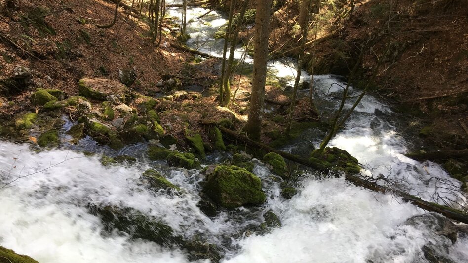 Hiking route Erlaufursprung - Touren-Impression #2.1 | © TV Hochsteiermark