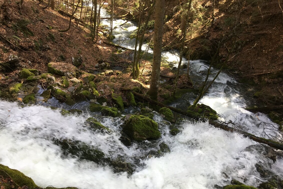 Hiking route Erlaufursprung - Touren-Impression #1 | © TV Hochsteiermark