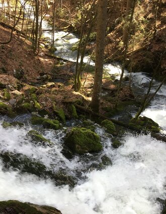 erlaufursprung_img_27512740 | Raffaela Pitzl | © TV Hochsteiermark