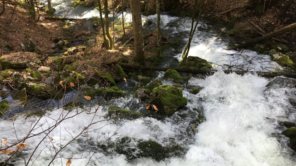 Hiking route Erlaufursprung - Touren-Impression #2.2 | © TV Hochsteiermark