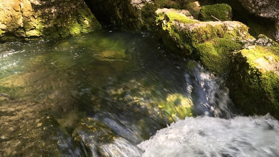 Hiking route Erlaufursprung - Touren-Impression #2.3 | © TV Hochsteiermark