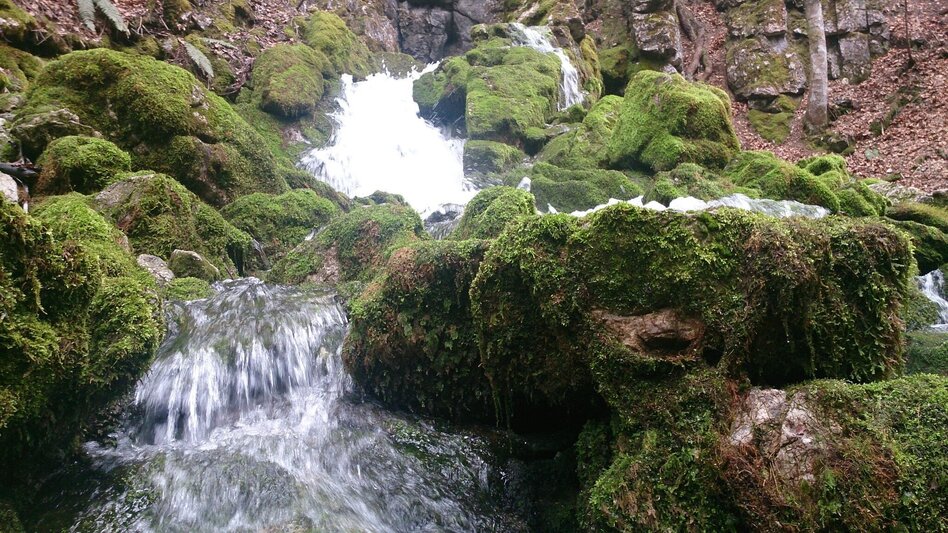 Hiking route Erlaufursprung - Touren-Impression #2.4 | © TV Hochsteiermark