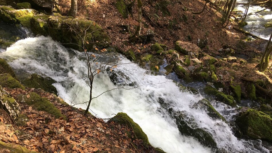 Hiking route Erlaufursprung - Touren-Impression #2.6 | © TV Hochsteiermark
