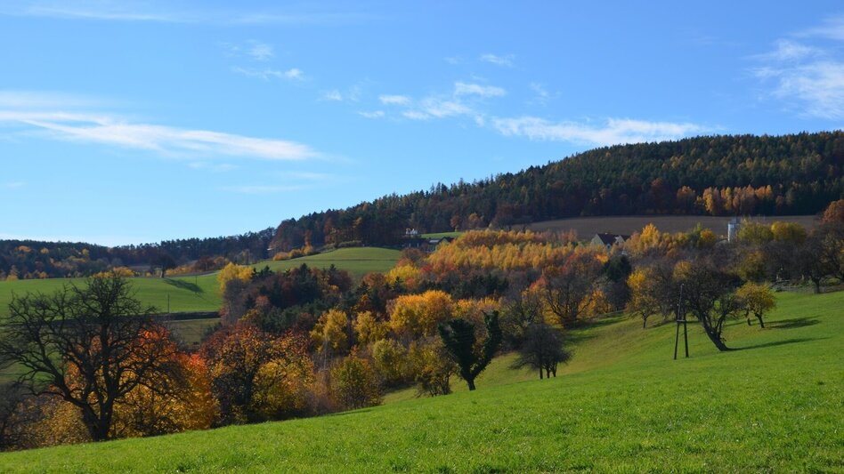 Hiking route Fichtenbründl trail (Fichtenbründl-Weg) - Touren-Impression #2.1 | © TV Thermen- & Vulkanland