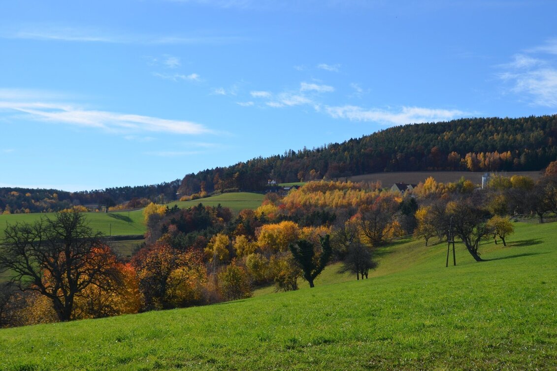 Hiking route Fichtenbründl trail (Fichtenbründl-Weg) - Touren-Impression #1 | © TV Thermen- & Vulkanland