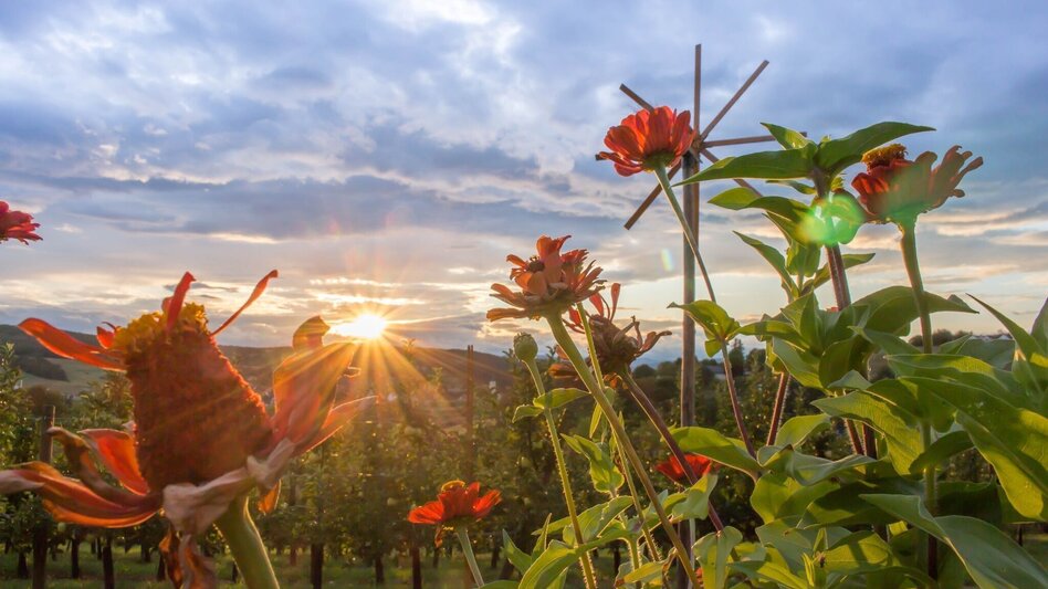 Hiking route Loretto trail (Loretto-Weg) - Touren-Impression #2.3 | © Bad Waltersdorf
