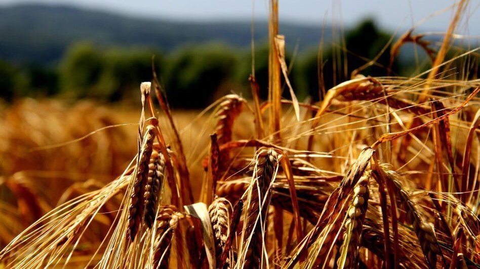 Hiking route Safental trail (Safental-Wanderweg) - Touren-Impression #2.1 | © Erlebnisregion Thermen- & Vulkanland