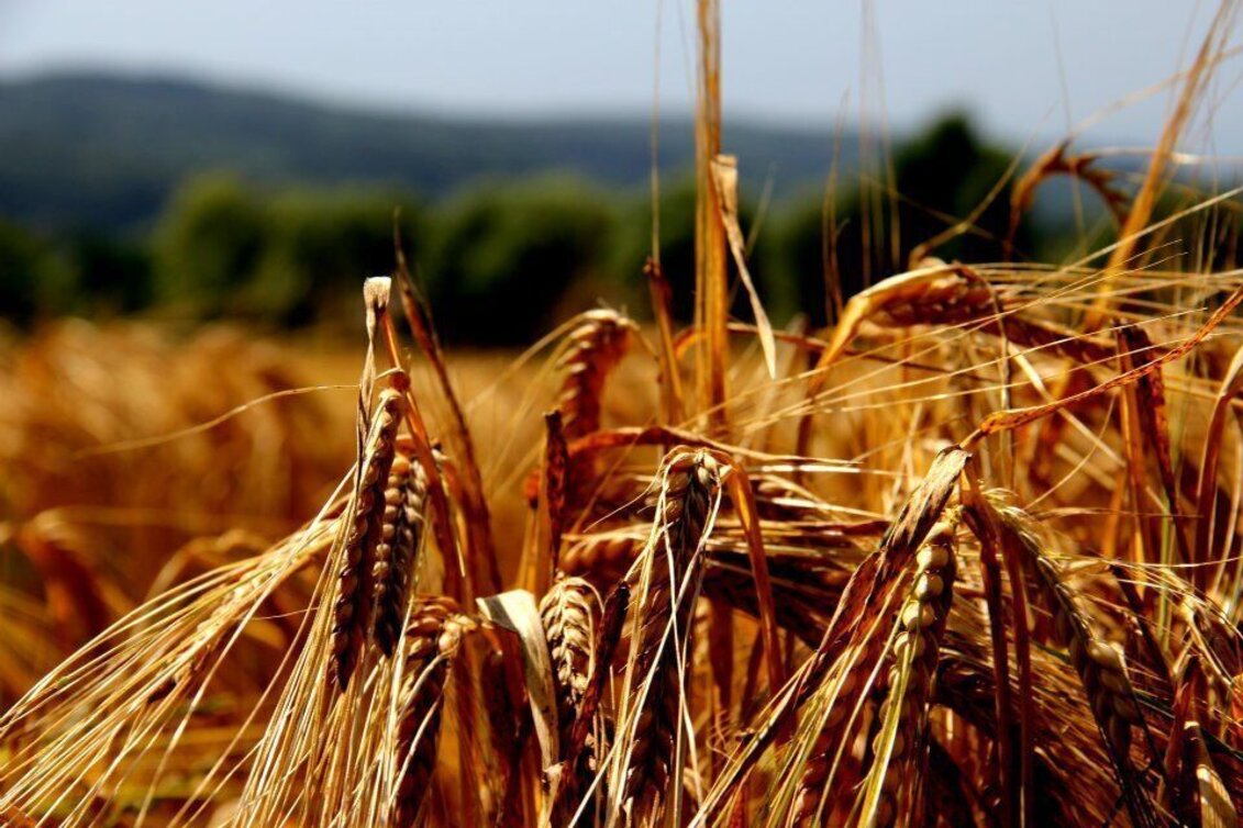 Hiking route Safental trail (Safental-Wanderweg) - Touren-Impression #1 | © Erlebnisregion Thermen- & Vulkanland