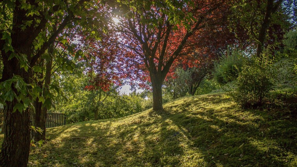 Hiking route Forest trail (Waldwanderweg) - Touren-Impression #2.1 | © Erlebnisregion Thermen- & Vulkanland