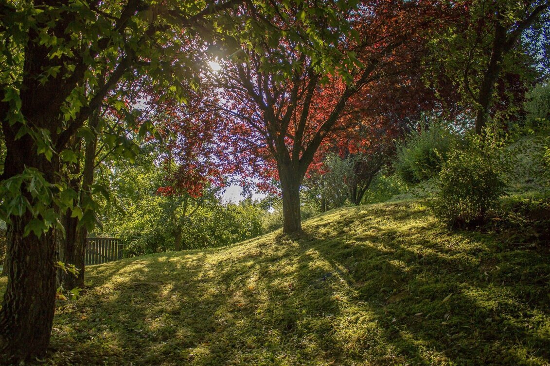 Hiking route Forest trail (Waldwanderweg) - Touren-Impression #1 | © Erlebnisregion Thermen- & Vulkanland