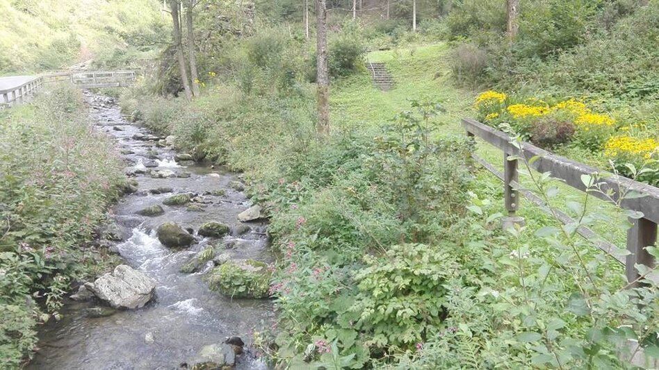 Hiking route Stadlmaier Alm - excursion pasture in Leoben - Touren-Impression #2.8 | © Tourismusverband ERZBERG LEOBEN