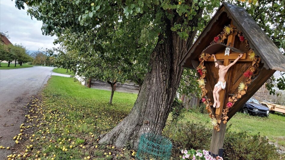 Bike Riding Ökoregion Kaindorf Water & Wine Tour, Ökoregion Kaindorf - Touren-Impression #2.2 | © Oststeiermark Tourismus
