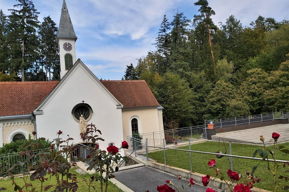 Bike Riding Ökoregion Kaindorf Water & Wine Tour, Ökoregion Kaindorf - Touren-Impression #1 | © Oststeiermark Tourismus