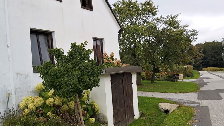 Bike Riding Ökoregion Kaindorf Water & Wine Tour, Ökoregion Kaindorf - Touren-Impression #2.10 | © Oststeiermark Tourismus