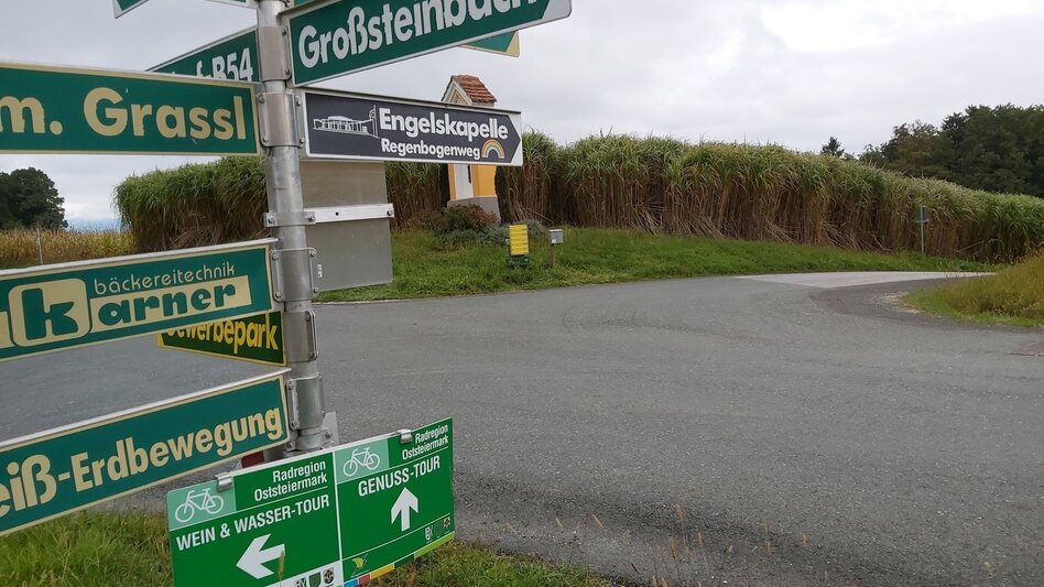 Bike Riding Ökoregion Kaindorf Water & Wine Tour, Ökoregion Kaindorf - Touren-Impression #2.15 | © Oststeiermark Tourismus