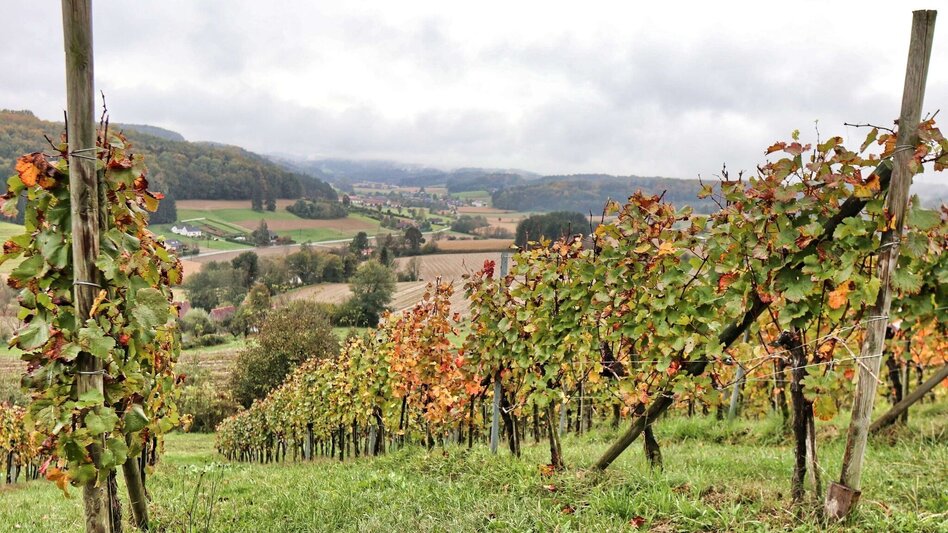 Themen- und Lehrpfad Himmel-Erden-Weg - Auf den Spuren der Vulkane - Touren-Impression #2.12 | © Thermen- & Vulkanland