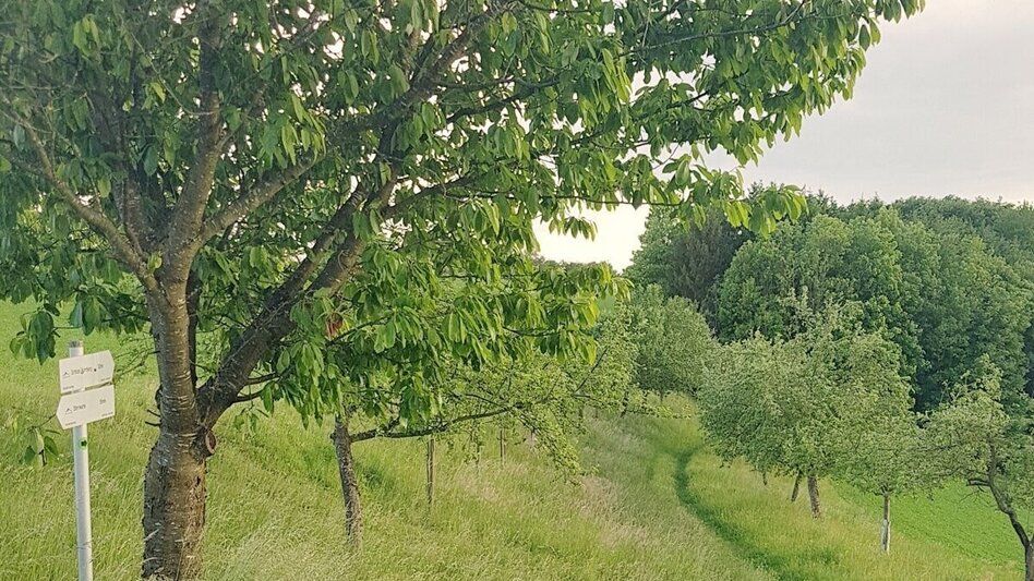 Themen- und Lehrpfad Himmel-Erden-Weg - Auf den Spuren der Vulkane - Touren-Impression #2.15 | © Unbekannt