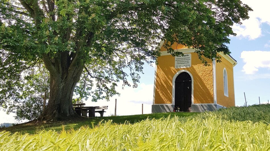 Themen- und Lehrpfad Himmel-Erden-Weg - Auf den Spuren der Vulkane - Touren-Impression #2.20 | © Unbekannt
