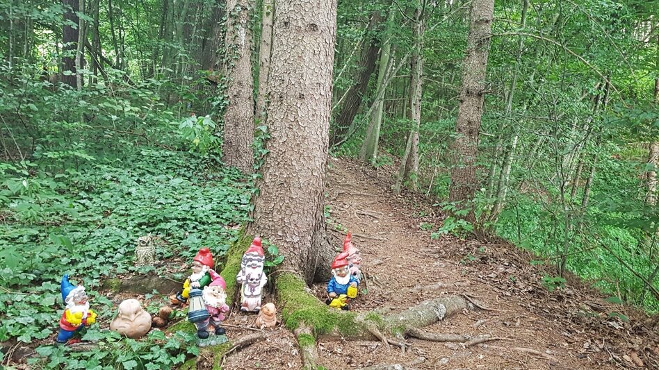 Themen- und Lehrpfad Himmel-Erden-Weg - Auf den Spuren der Vulkane - Touren-Impression #2.8 | © spiritour.at