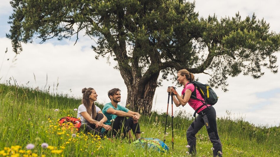 Theme path Höchkogel track (Höchkogelweg) - In the footsteps of the volcanoes - Touren-Impression #2.1 | © TV Thermen- & Vulkanland